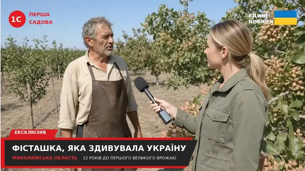 Мирослав Гнатюк — відео-репортаж із фісташкового саду